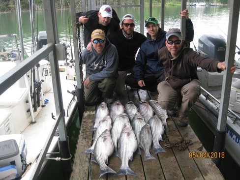 Nice Striped Bass